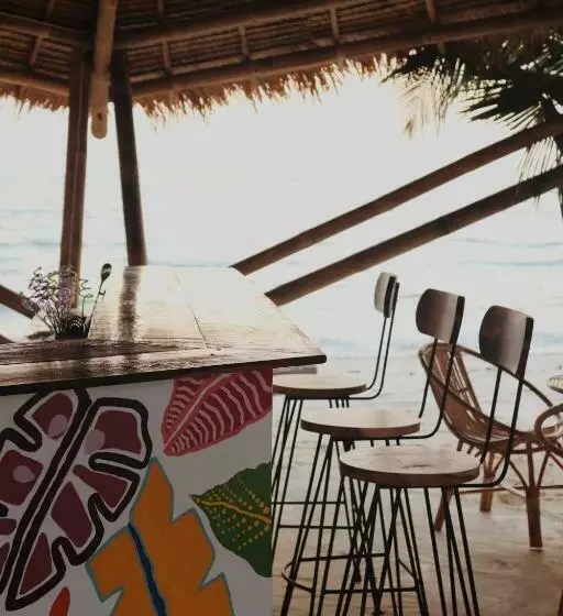 پانسیون Young Wild And Free