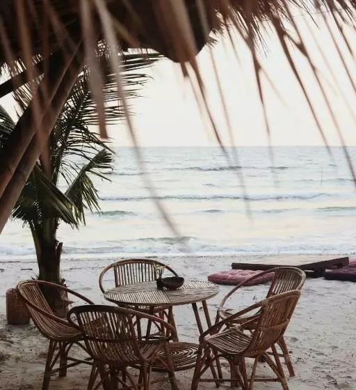 پانسیون Young Wild And Free