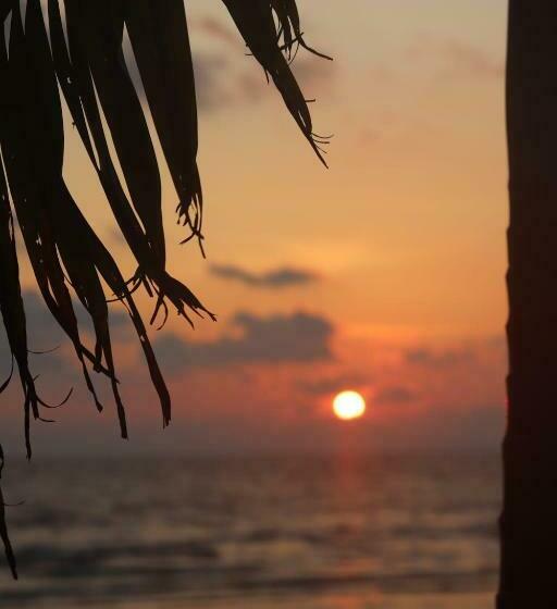 ペンション Young Wild And Free