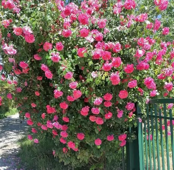 Hotelli Agriturismo Bio Apipoli