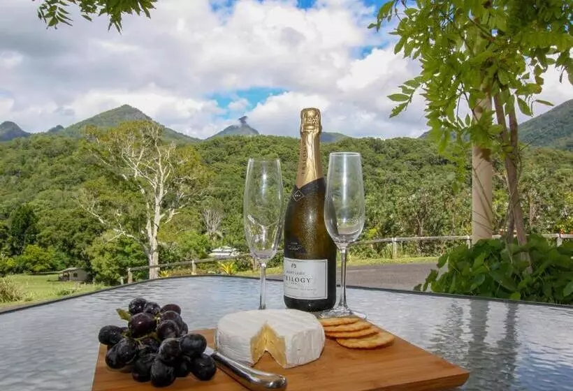 ベッドアンドブレックファースト A View Of Mount Warning