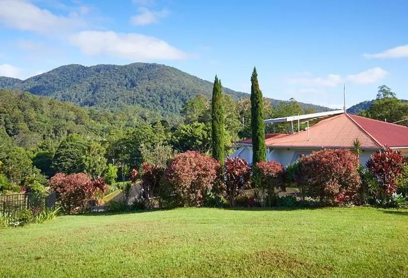 ベッドアンドブレックファースト A View Of Mount Warning