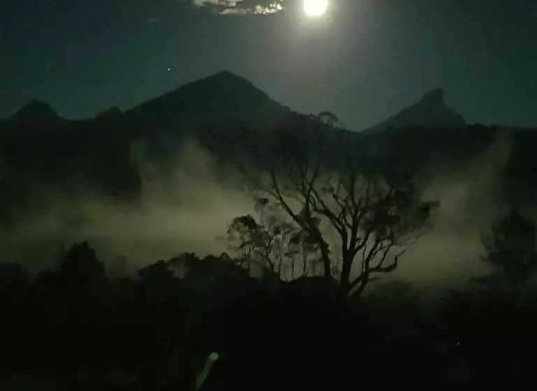 ベッドアンドブレックファースト A View Of Mount Warning