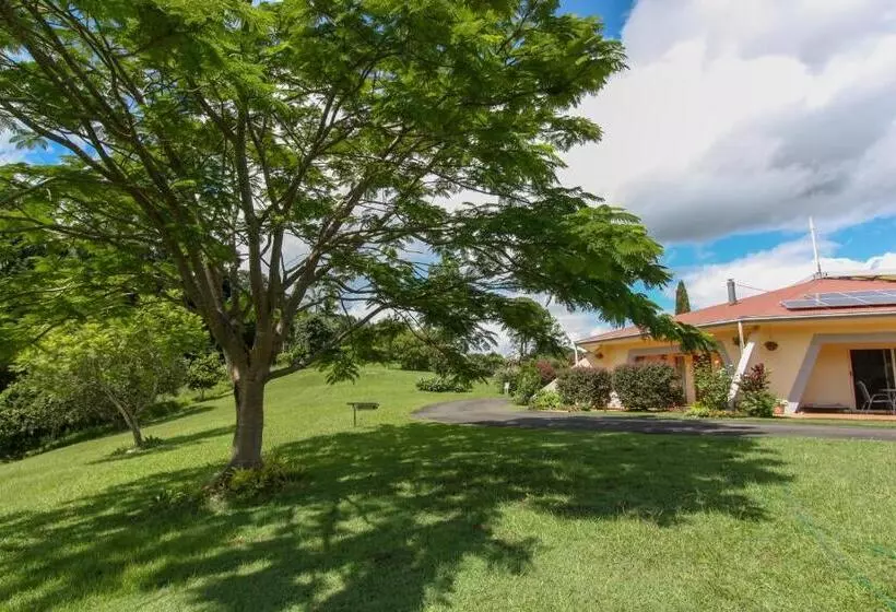 ベッドアンドブレックファースト A View Of Mount Warning