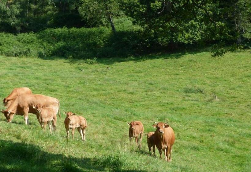 צימר Bout De Cote