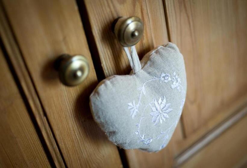 Bed and Breakfast Chambres D'hotes Domaine Des Machottes