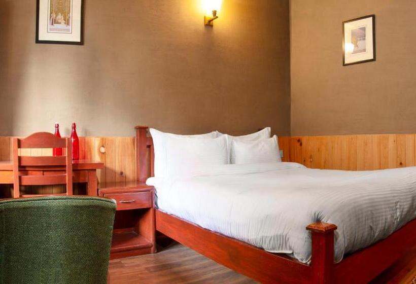 酒店 Shivadya Tirthan Tirthan Valley