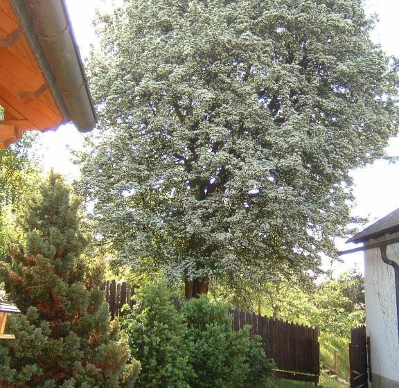 펜션 Gasthof Siegfried Gruber