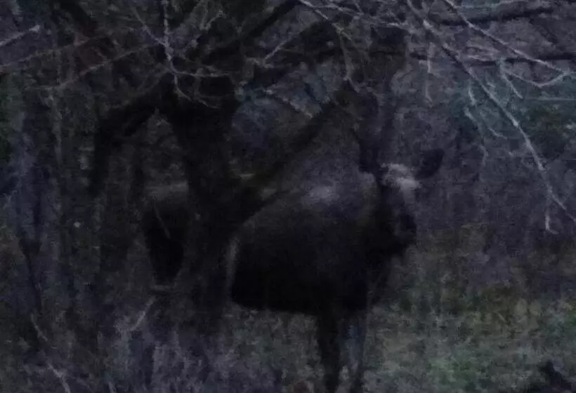 ペンション Kvarngården Natur Resort