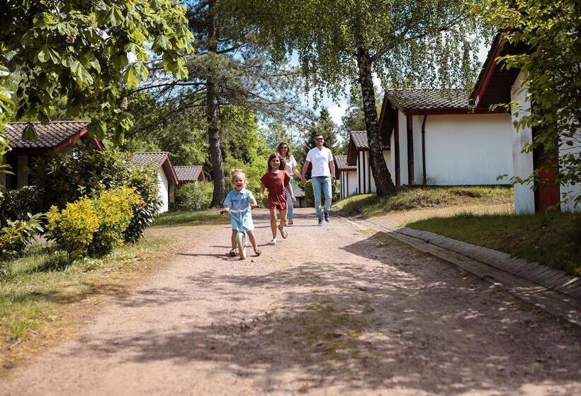 渡假胜地  Comfort Wellness 4p