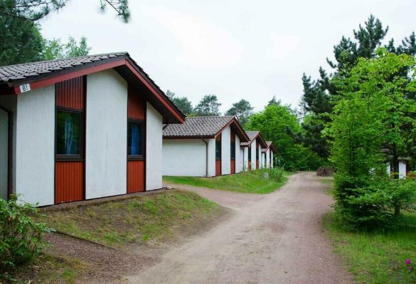 渡假胜地  Comfort Wellness 4p