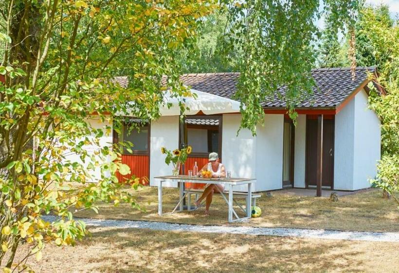 渡假胜地  Comfort Wellness 4p