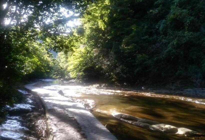 日式旅馆 Tenryuso