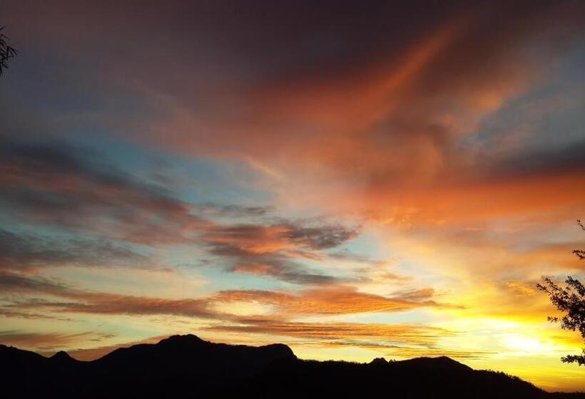 Blueberry Hill Cottages