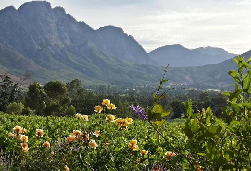 Blueberry Hill Cottages