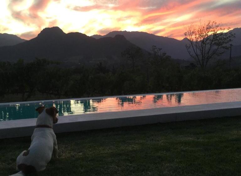 Blueberry Hill Cottages