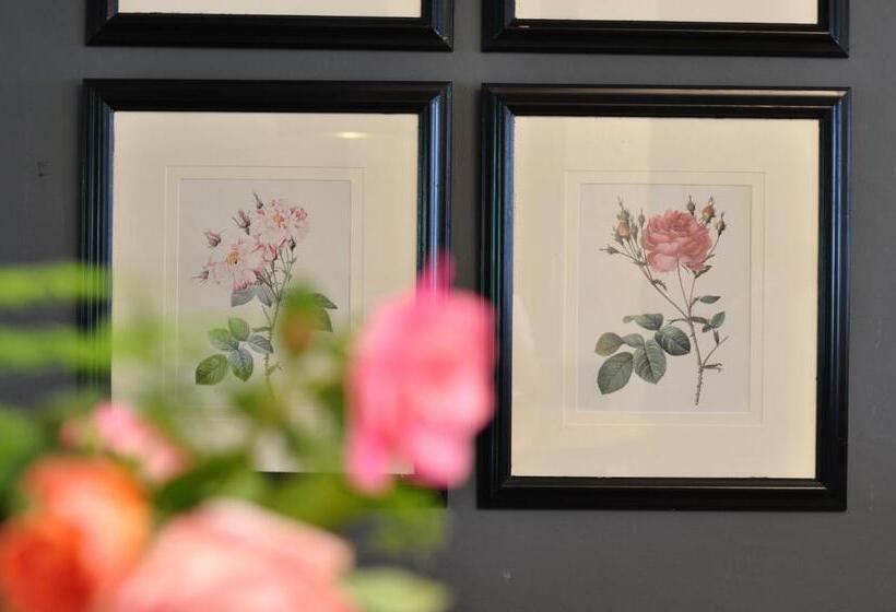 Blueberry Hill Cottages