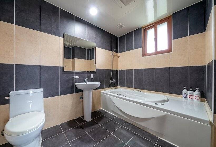 モーテル Anseong Soo