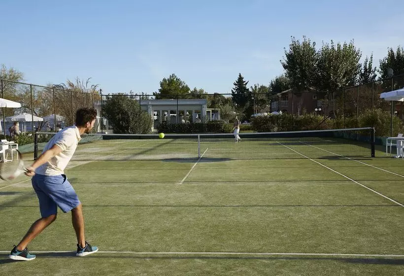 Hotel Capo Di Corfu   All Inclusive