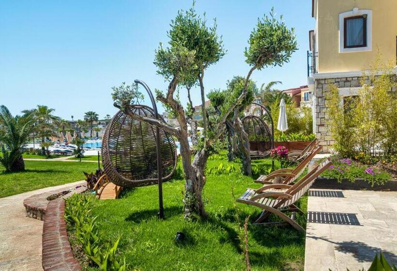 Hotel Cocos The Club Solto