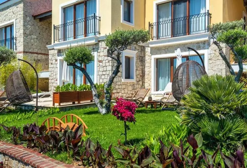 酒店 Cocos The Club Solto