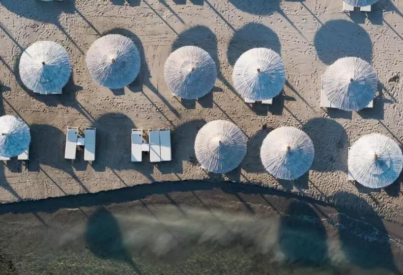 酒店 Cocos The Club Solto