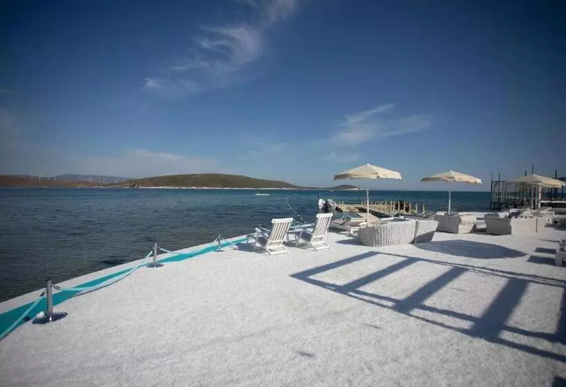 酒店 Cocos The Club Solto