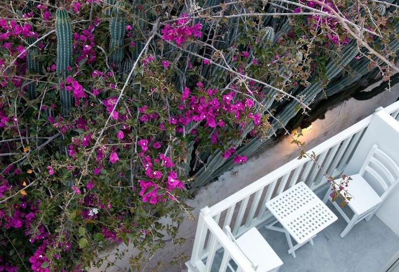 هتل Fresh Boutique