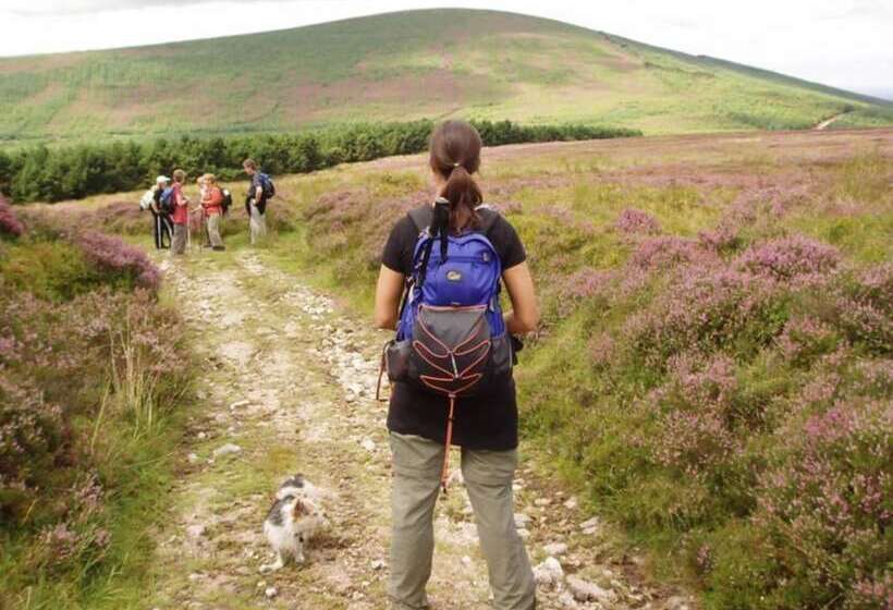 فندق Glengarriff Park