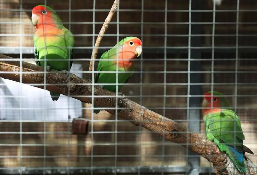 בית מלון כפרי Palmers Lodge Hillspring At Willesden Green