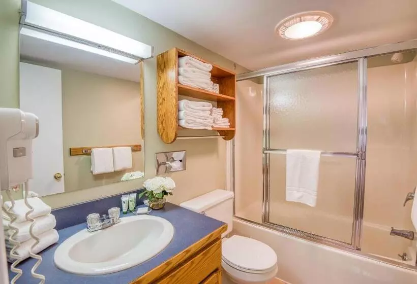 호텔 Purity Spring Resort