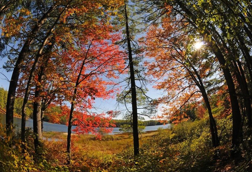 فندق Purity Spring Resort