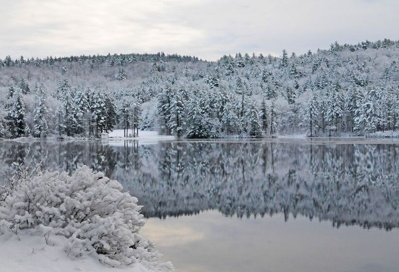 فندق Purity Spring Resort