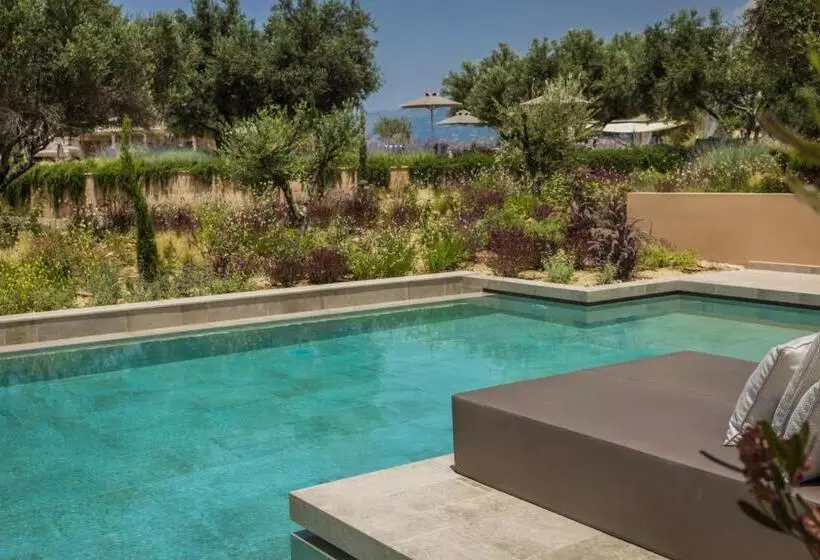 Thalassa Boutique Hotel   Adults Only