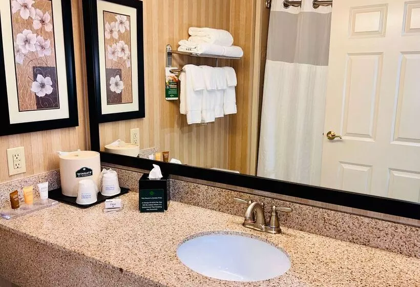 Hotel Spark By Hilton Charlotte Tyvola I 77