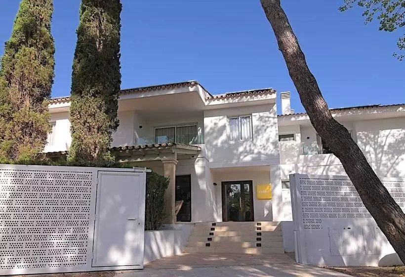 Cabot Las Velas Apartments