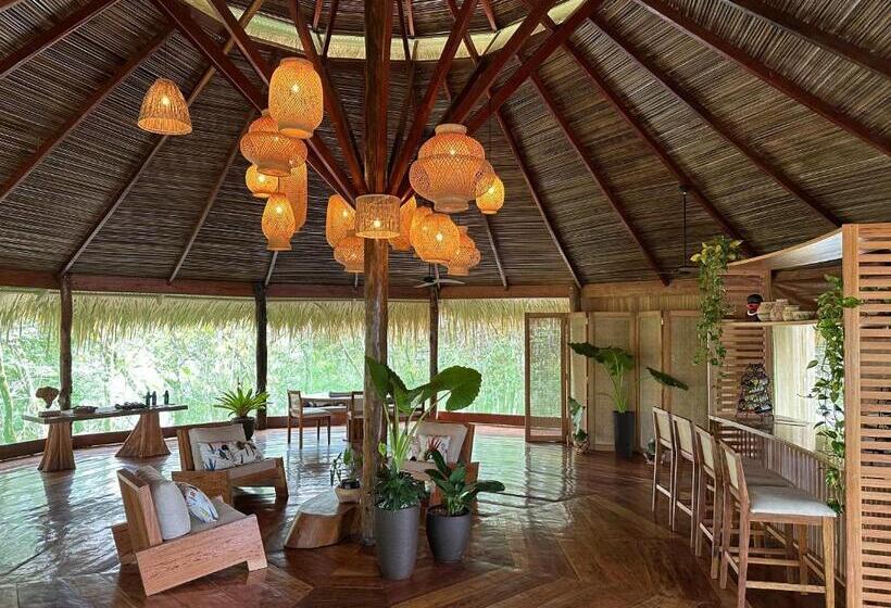 酒店 Juma Amazon Lodge