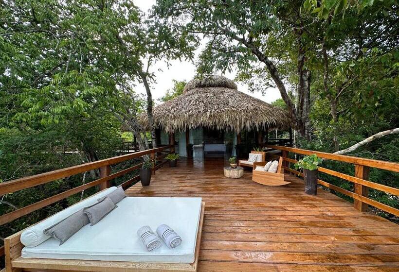 酒店 Juma Amazon Lodge