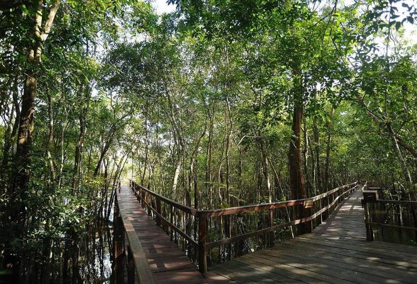 酒店 Juma Amazon Lodge