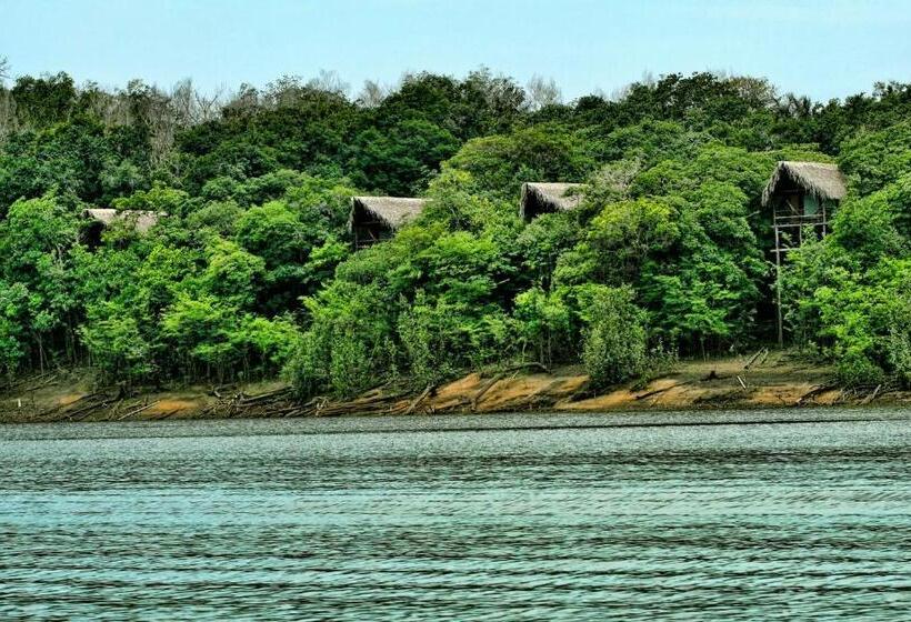 酒店 Juma Amazon Lodge