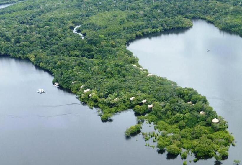 酒店 Juma Amazon Lodge