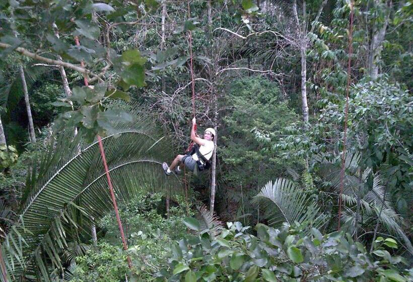 酒店 Juma Amazon Lodge