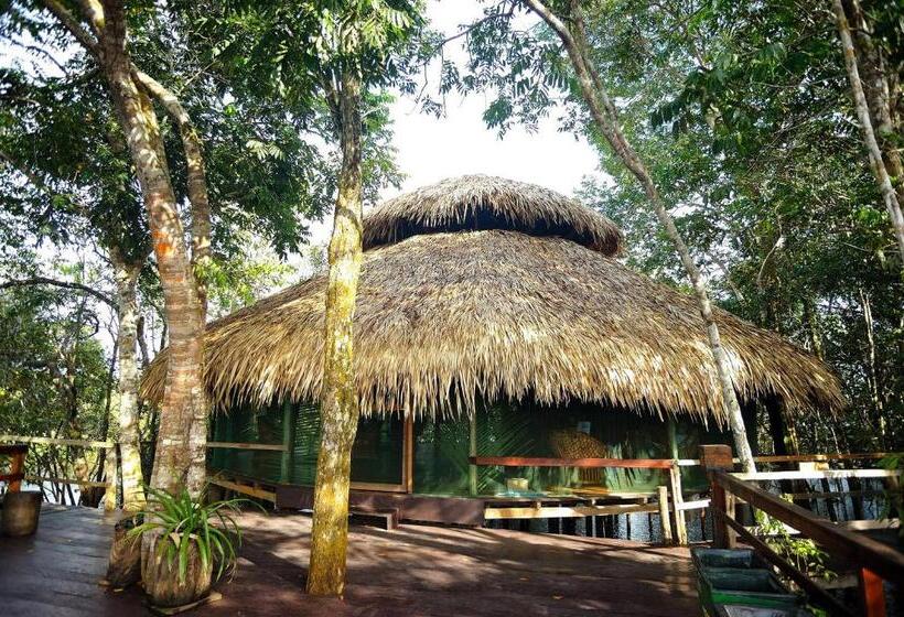 酒店 Juma Amazon Lodge