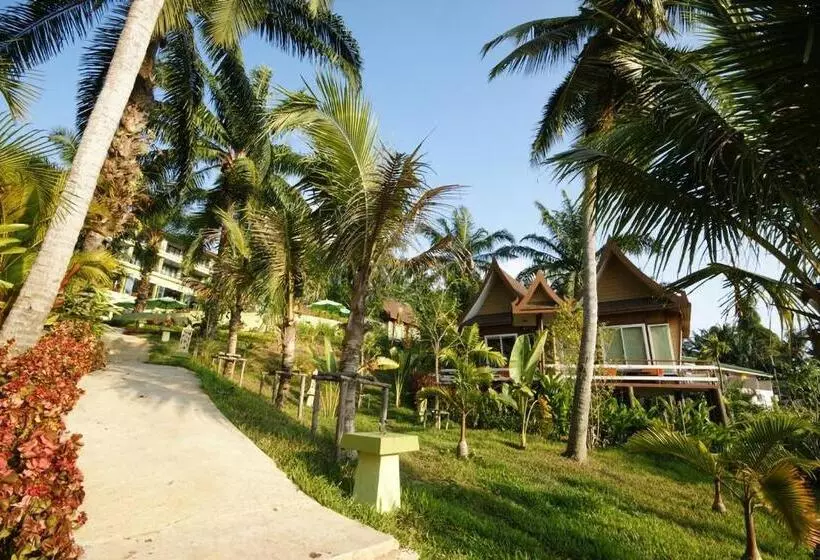 ホテル Palm Paradise Resort