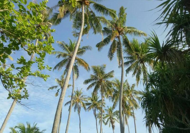 ホテル Puri Saron  Senggigi