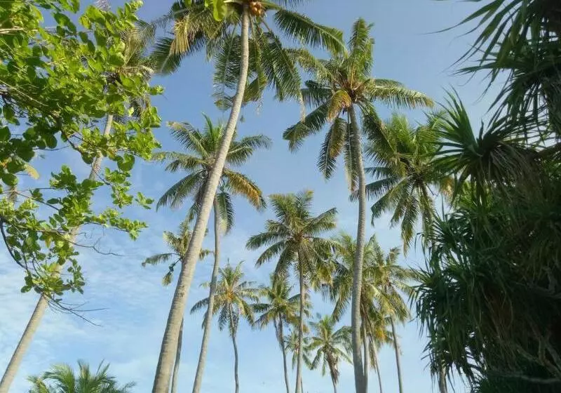 ホテル Puri Saron  Senggigi