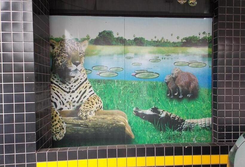 酒店 Rota Do Pantanal