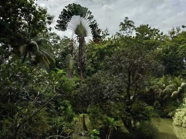 호텔 Sepilok Jungle Resort