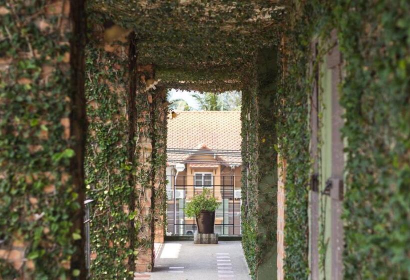 Hotel Khaolak Tony Lodge