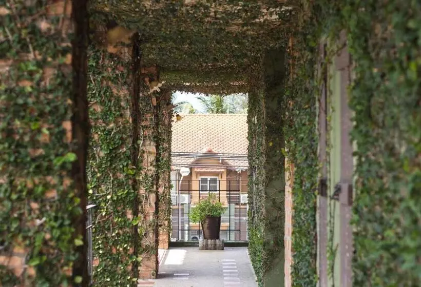 酒店 Khaolak Tony Lodge